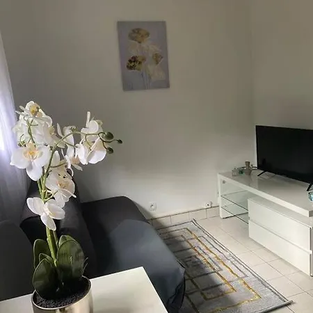 Appartement Cosy 15 Min D'Orly Longjumeau Exterior foto
