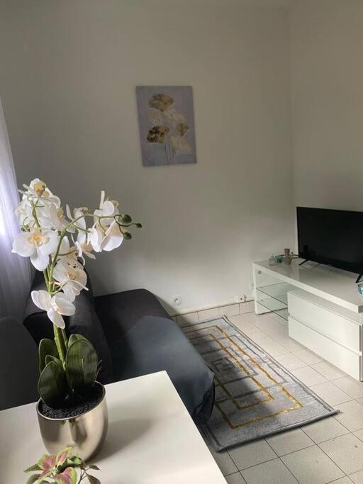 Cosy 15 Min D'orly Apartment Longjumeau